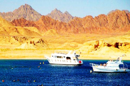 Red sea Egypt